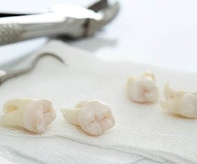 Dental instruments with extracted teeth